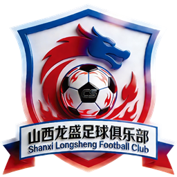 山西龙盛
